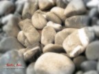 Texture Texture