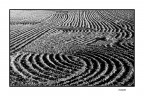 ...LINEE... ...LINEE...