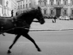 arriva! arriva!