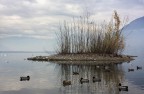 ... ...