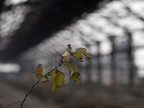 Segni di vita Segni di vita