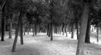 Ottobre Ottobre