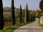 La strada sulle colline La strada sulle colline