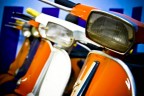 Vespe gemelle Vespe gemelle