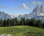 DSC_4935_1 DSC_4935_1