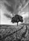 Tra cielo e terra Tra cielo e terra