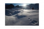 Traces Traces