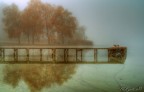 Nebbia sul lago