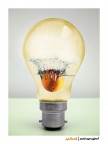 :: lampadina :: lampadina