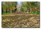 Autunno in un parco cittadino