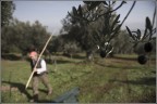 I battitori I battitori