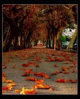 Un pomeriggio d'Autunno Un pomeriggio d'Autunno