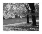 Luce d'autunno Luce d'autunno