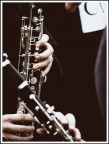 La musica è l'armonia dell'anima La musica è l'armonia dell'anima