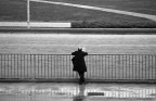 Horse racing, searching for the next winner... Horse racing, searching for the next winner...