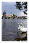 Praga 2009 Praga 2009