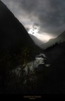 Kingdom of shadow Kingdom of shadow