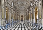 Reggia di Venaria in elaborazione Reggia di Venaria in elaborazione