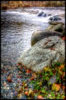 Torrente autunnale,scorcio-- Torrente autunnale,scorcio--
