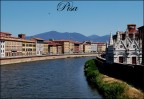 pisa pisa