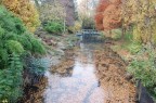 Autunno a Londra Autunno a Londra