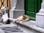 relax relax