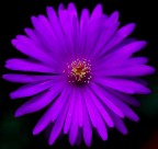 Prova effetto ottico.. Prova effetto ottico..