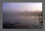 Nebbia Nebbia