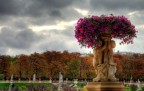 Paris Mon Amour (HDR) Paris Mon Amour (HDR)