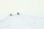 anatre sul Po (high key) anatre sul Po (high key)