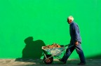 il colore della speranza....la speranza di un lavoro il colore della speranza....la speranza di un lavoro