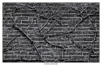 The Wall The Wall
