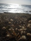 mamma, prova a fare una foto diversa..che so...così! mamma, prova a fare una foto diversa..che so...così!