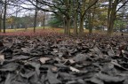 _DSC0359 _DSC0359