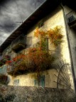 sogno d'autunno sogno d'autunno