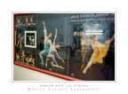 danser avec les étoiles danser avec les étoiles