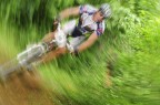 MTB Into The Wood MTB Into The Wood