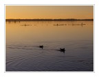 Massaciuccoli #2 Massaciuccoli #2