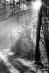 è arrivato l'inverno è arrivato l'inverno