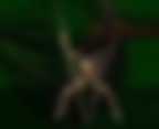 AD20091211 AD20091211