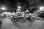 Giardino d'inverno Giardino d'inverno