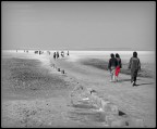 verso Canaan verso Canaan