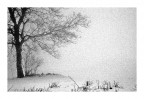 Neige Neige