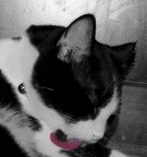 Slurp Slurp