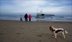 la spiaggia d' inverno .. la spiaggia d' inverno ..