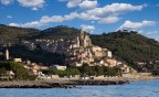 Cervo Cervo
