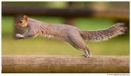 Salto Salto
