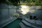Zoo, Pistoia 2009 Zoo, Pistoia 2009