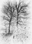 i colori d'inverno i colori d'inverno