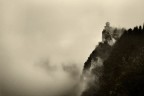 Through the mist Through the mist